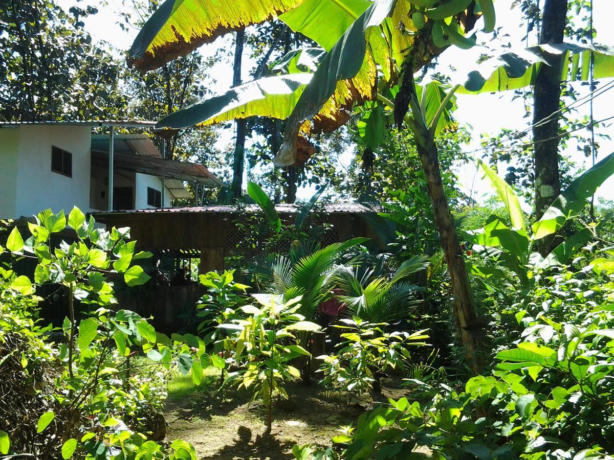 Hotel Osa De Rio Uvita Zewnętrze zdjęcie
